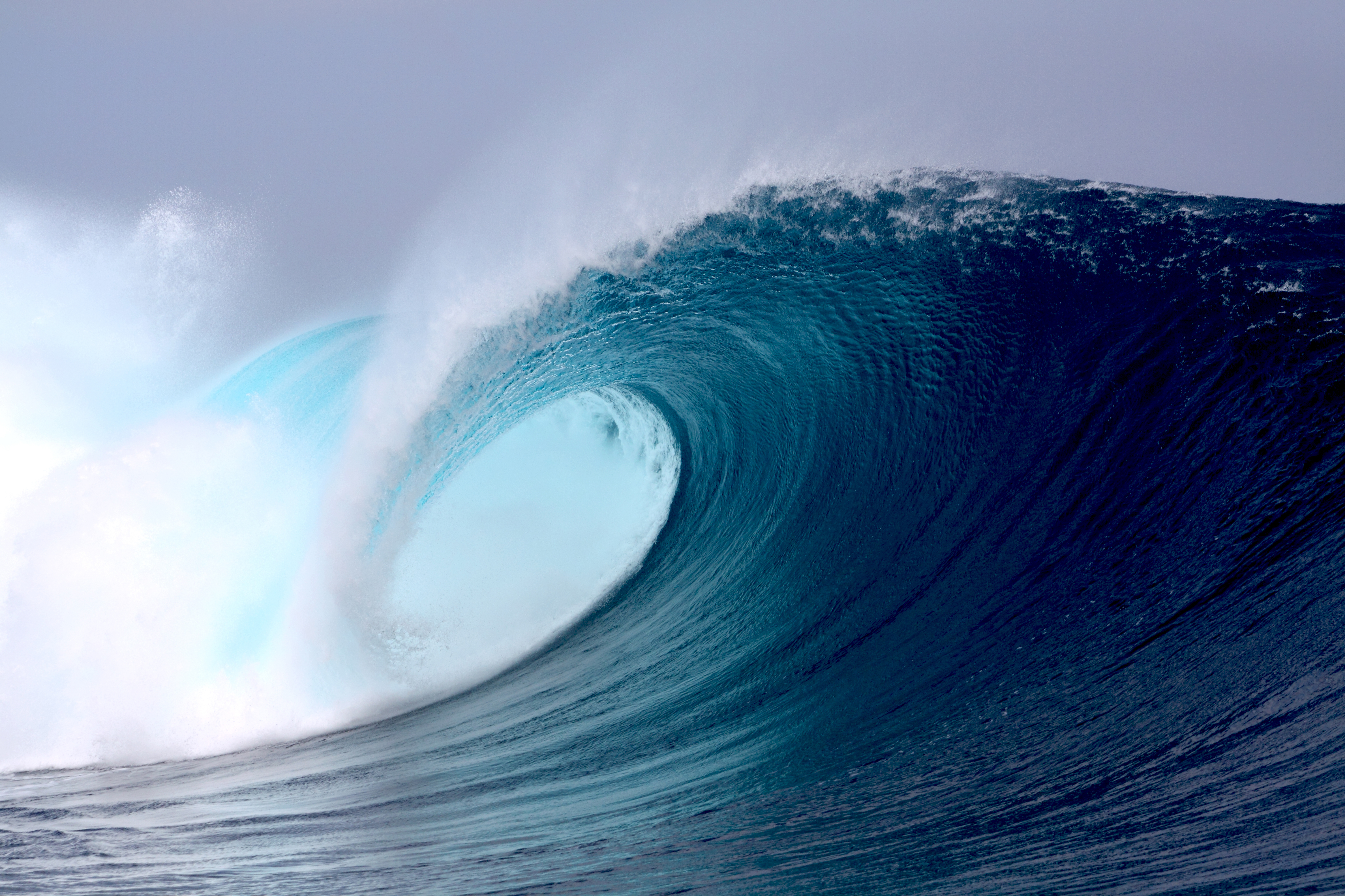 Wave Surf your Food Noise