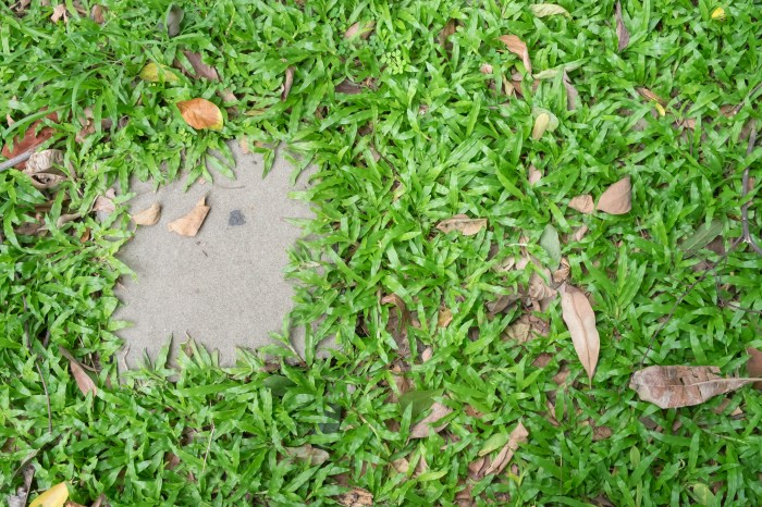 shutterstock_459019435