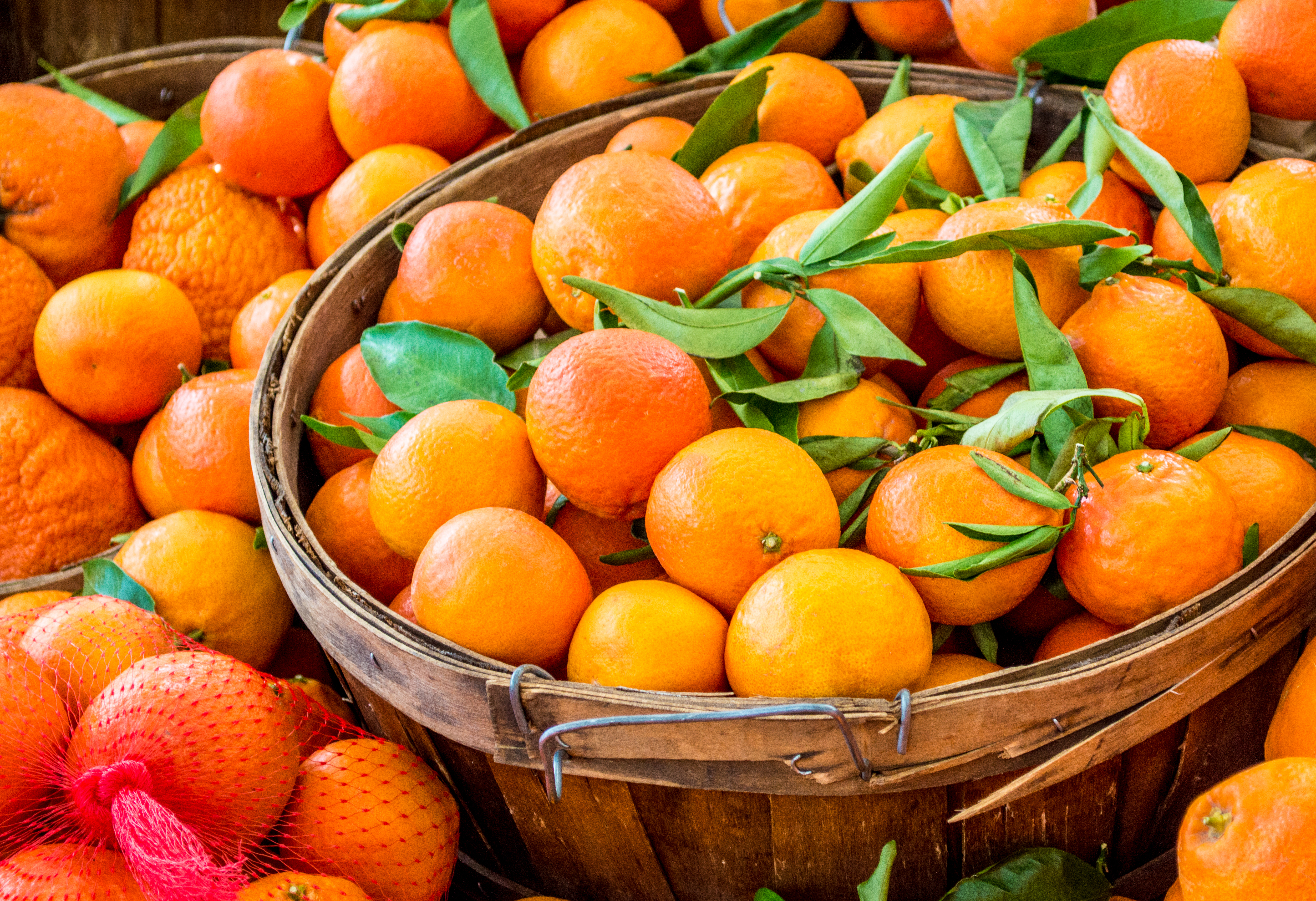 Clementine Nutrition (Halo, Cutie, Sweetie)